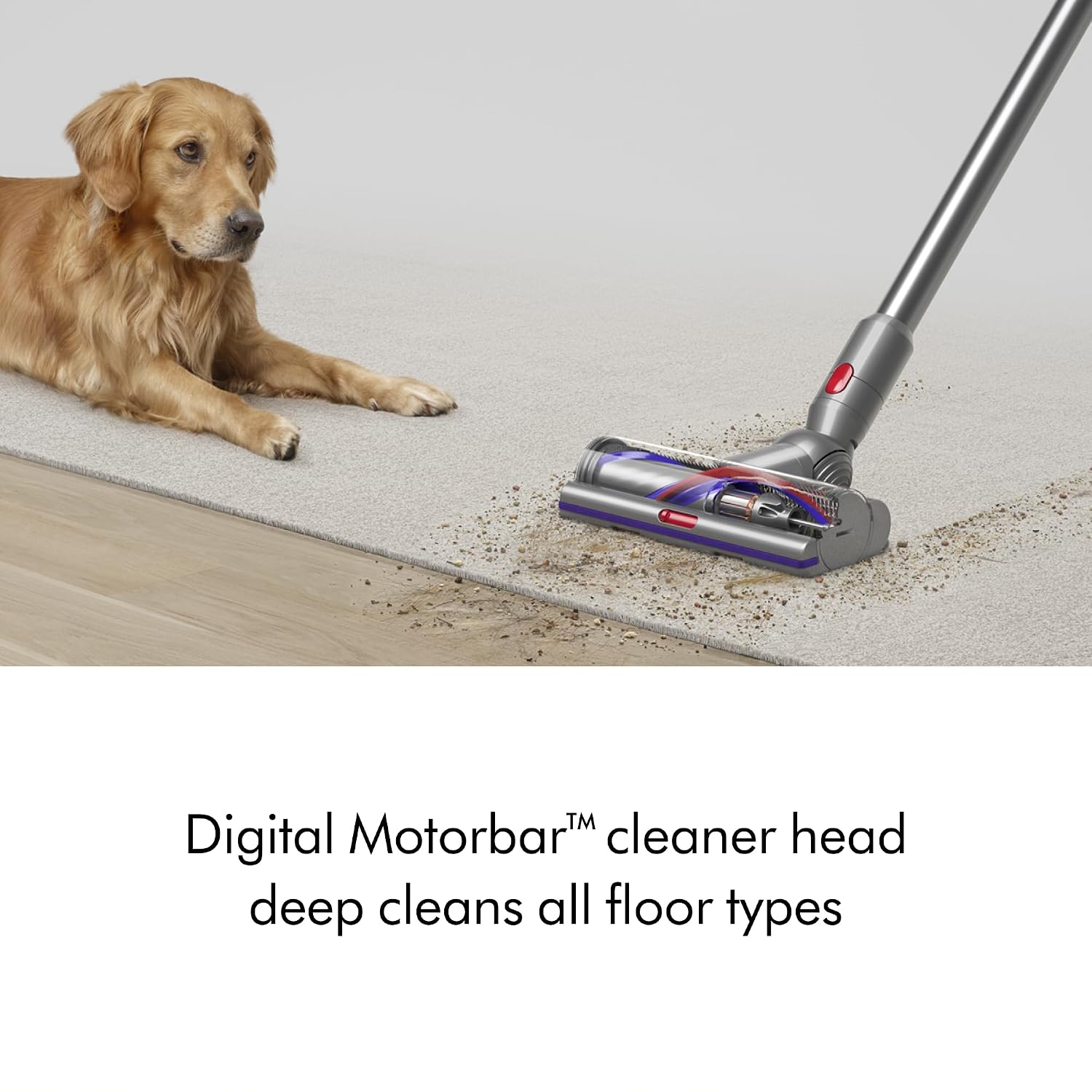 Dyson V15 Detect Origin Cordless Vacuum