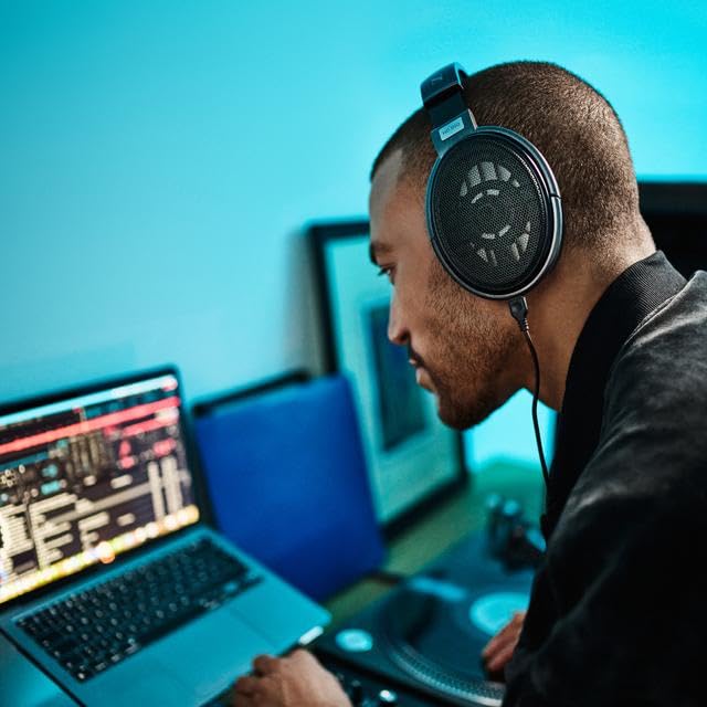 Sennheiser HD 650 Open-Back Audiophile Headphones